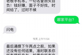 辽宁网贷负债逾期催收:解析现状,探索解决方案 辽宁网贷负债逾期催收:解析现状,探索解决方案